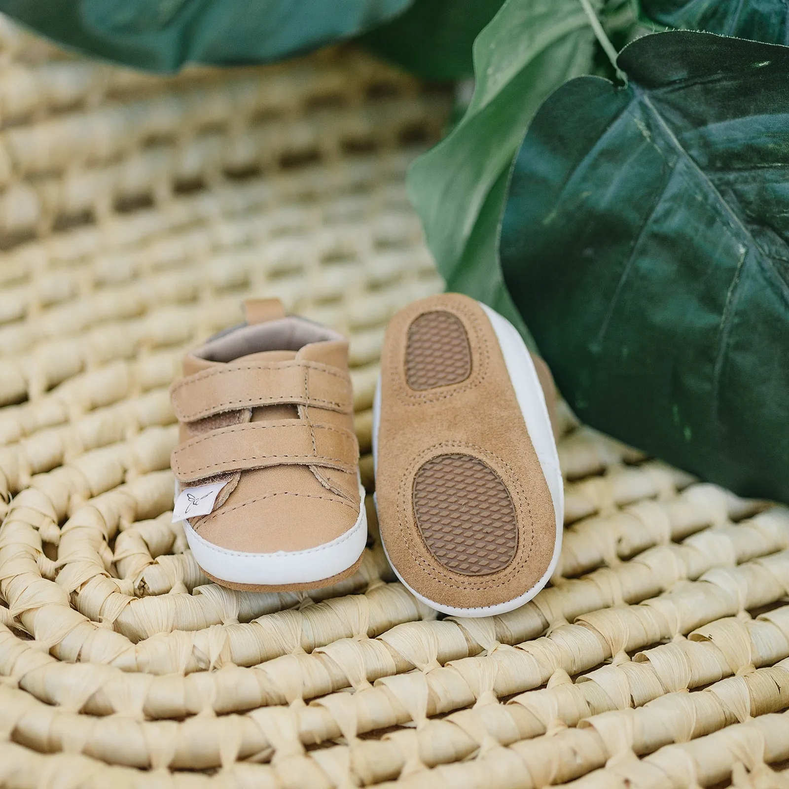 Casual Desert Sand Low Top {premium Leather}